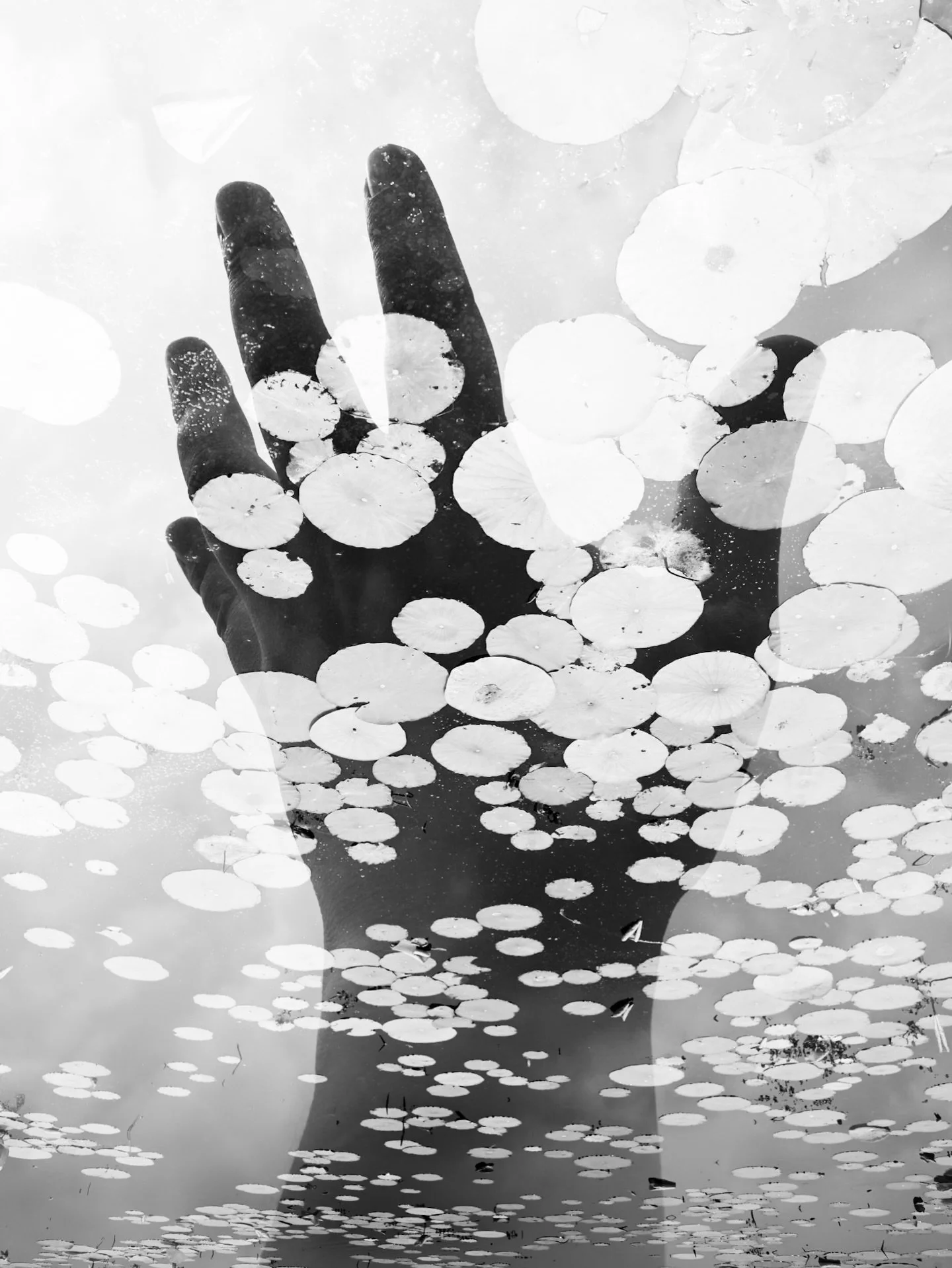 This photo named &ldquo;Ancient Knowledge&rdquo; was selected at the 20th Black and White Spider Awards. Happy and honored to have my work selected on this prestigious competition.

This photo is a double exposure image shot in camera with a Nikon Zf