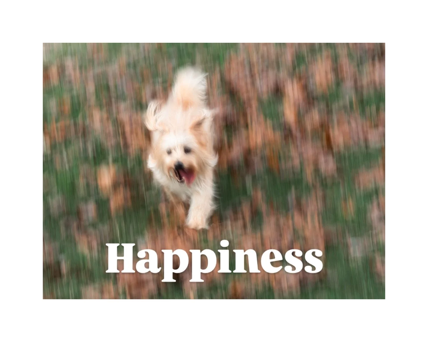 Moments that fill my heart with happiness.