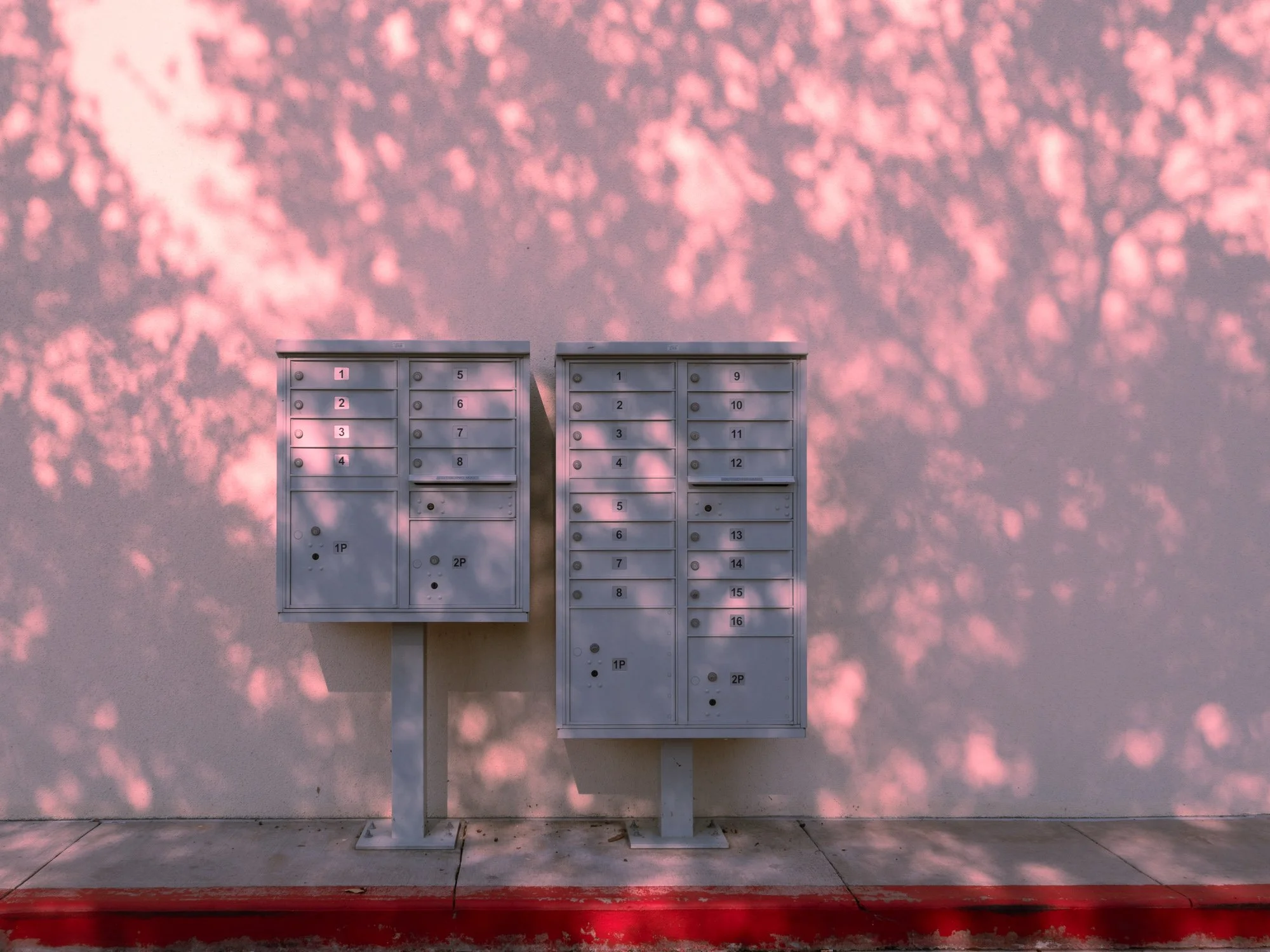 Delight - Fine Art Print