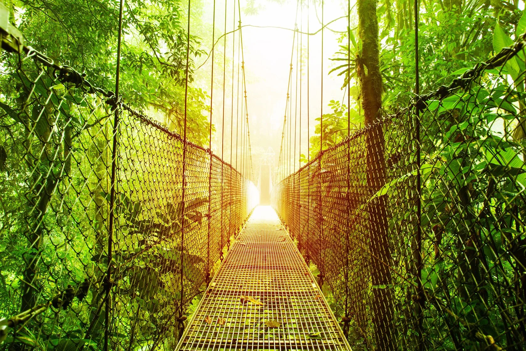 costa rica - hanging bridges arenal.jpg