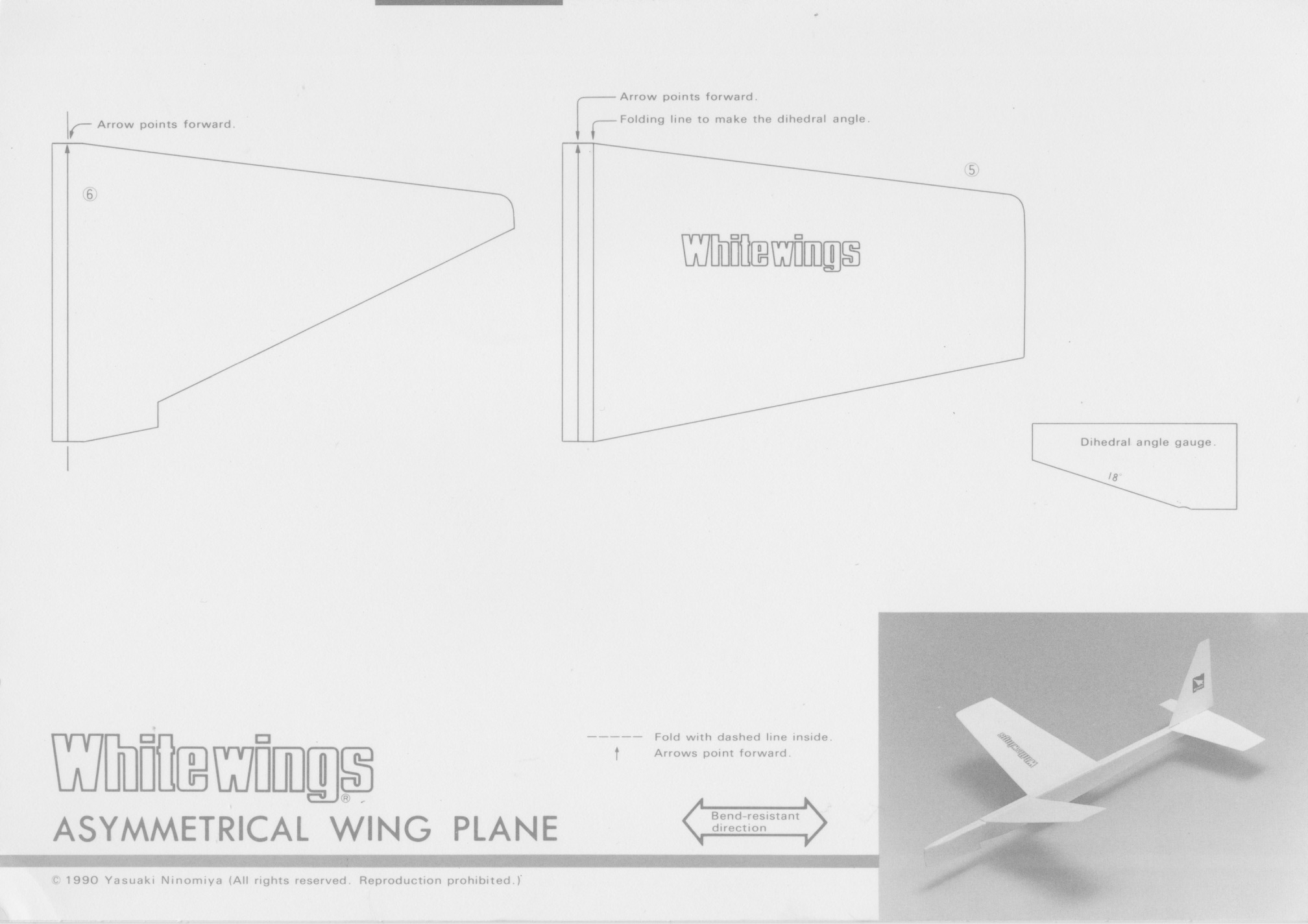 Asymmetrical_Wing_Plane_1.jpeg