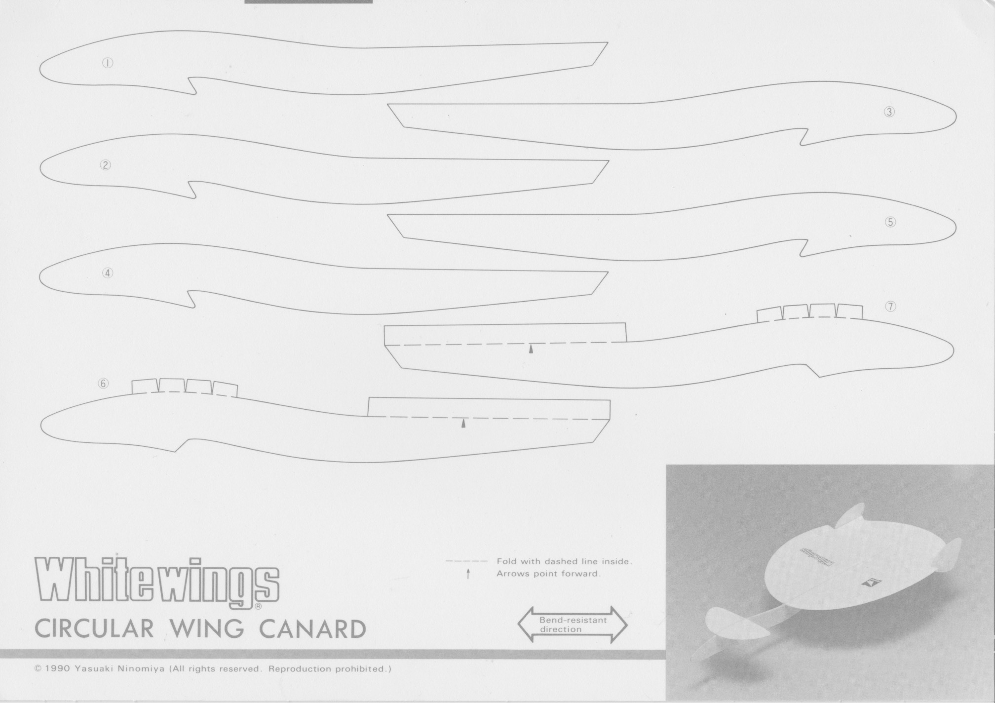 Circular_Wing_Canard_1.jpeg