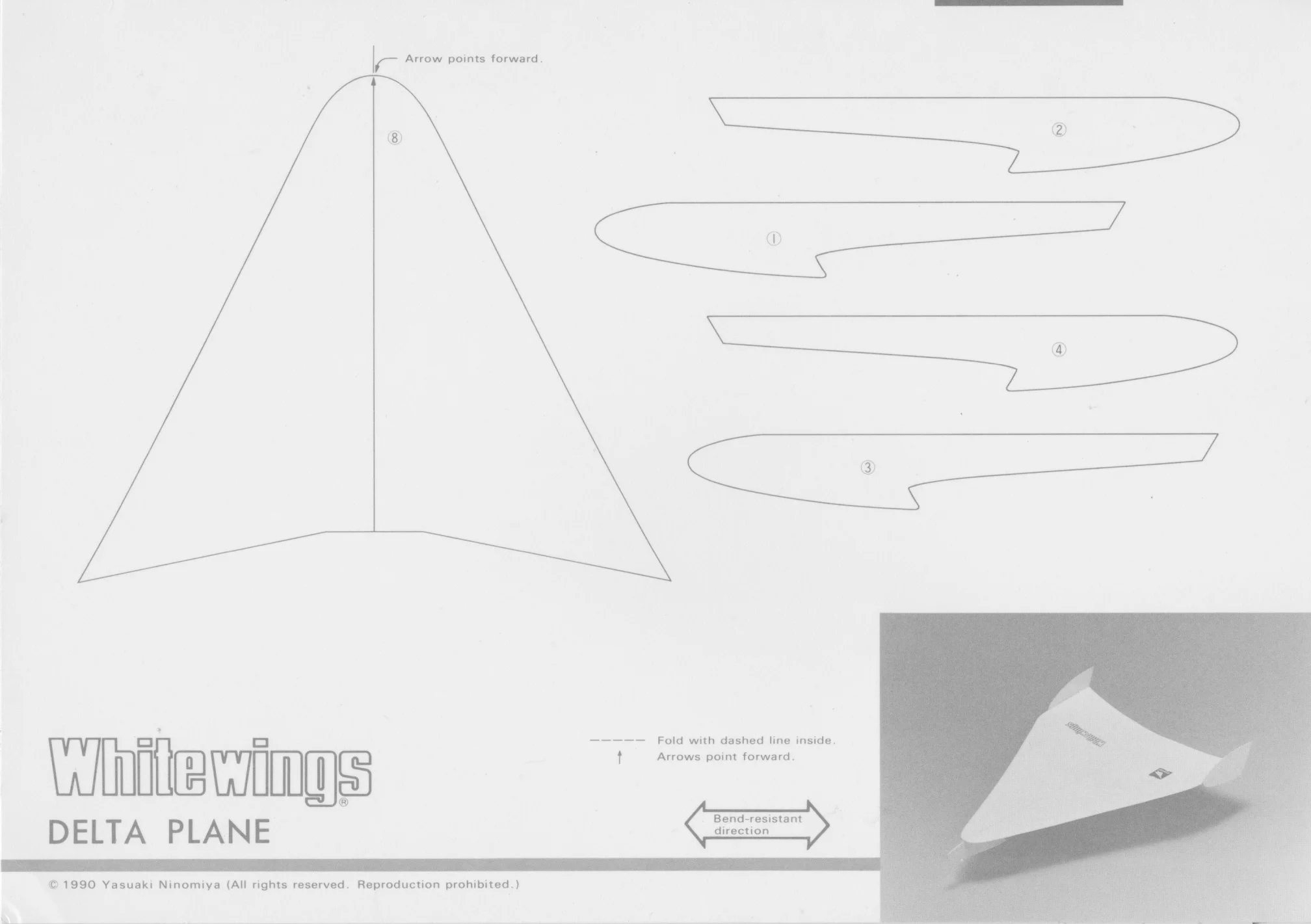 Delta_Plane_1.jpg