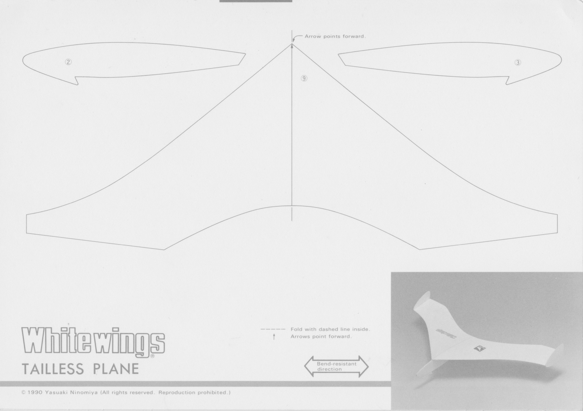 Tailless_Plane_1.jpeg