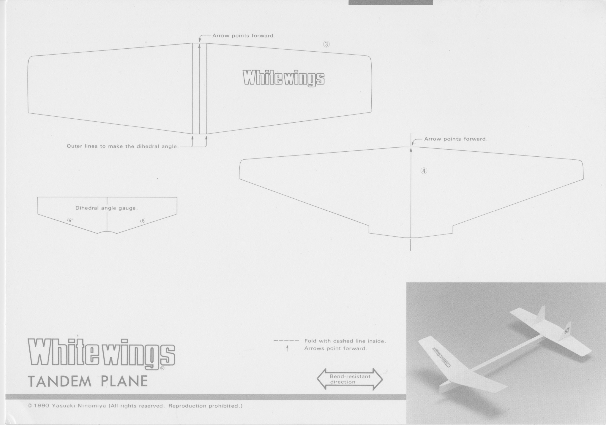 Tandem_plane_1.jpeg