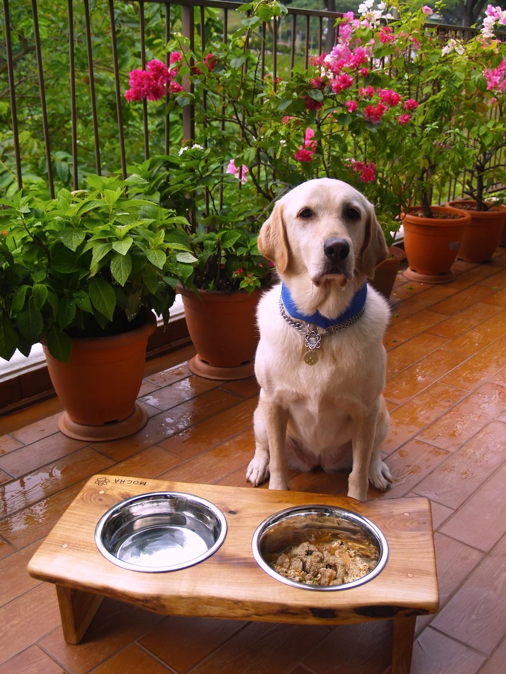 Elevated Pet Feeders Rusticcraft Designs