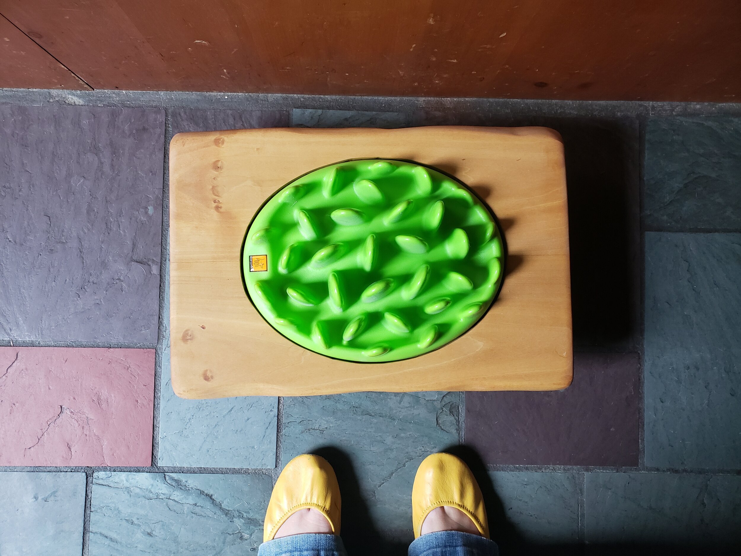 Green Mini Interactive Dog Feeder