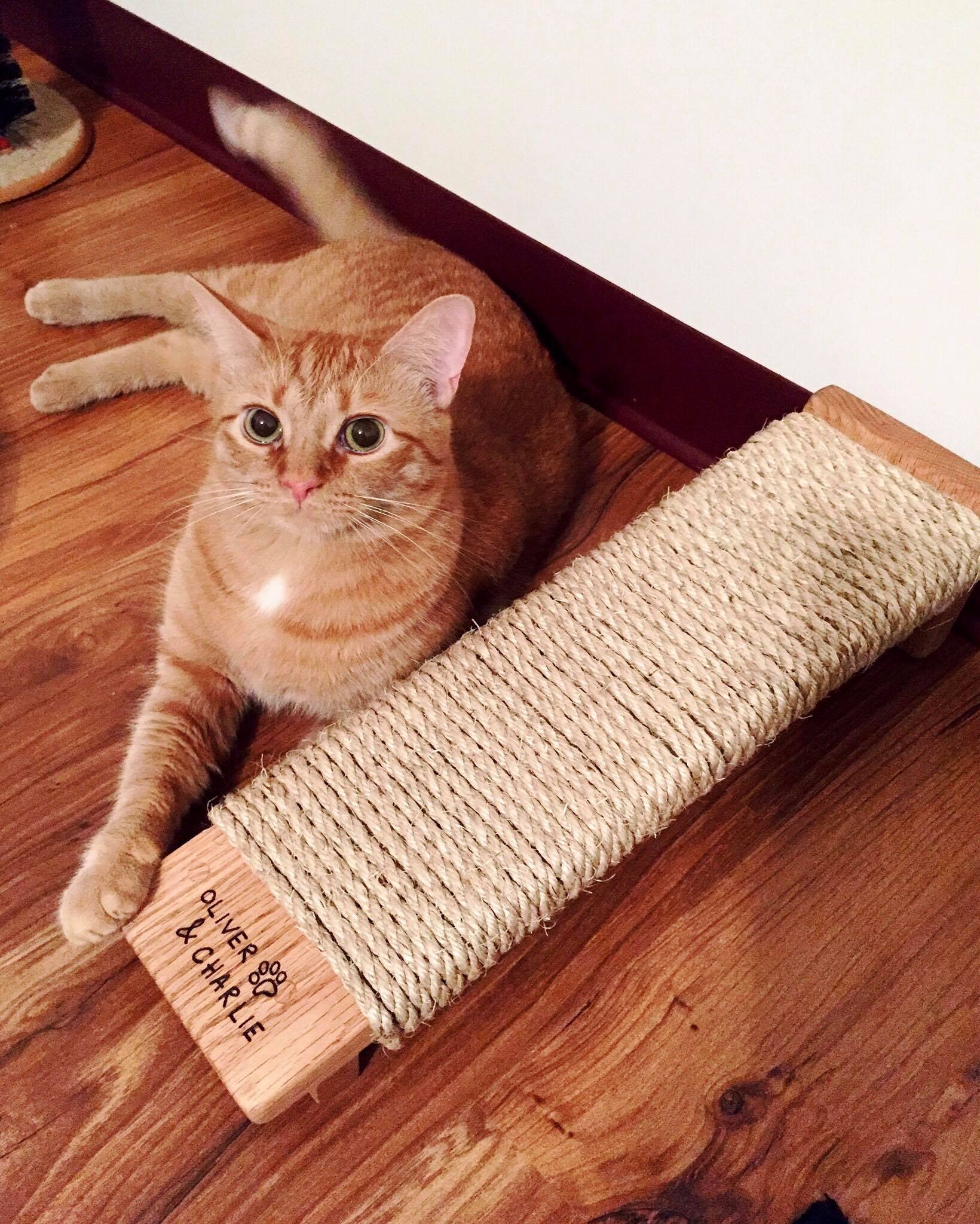Inclined Wood - Personalized Cat Scratch Toy-