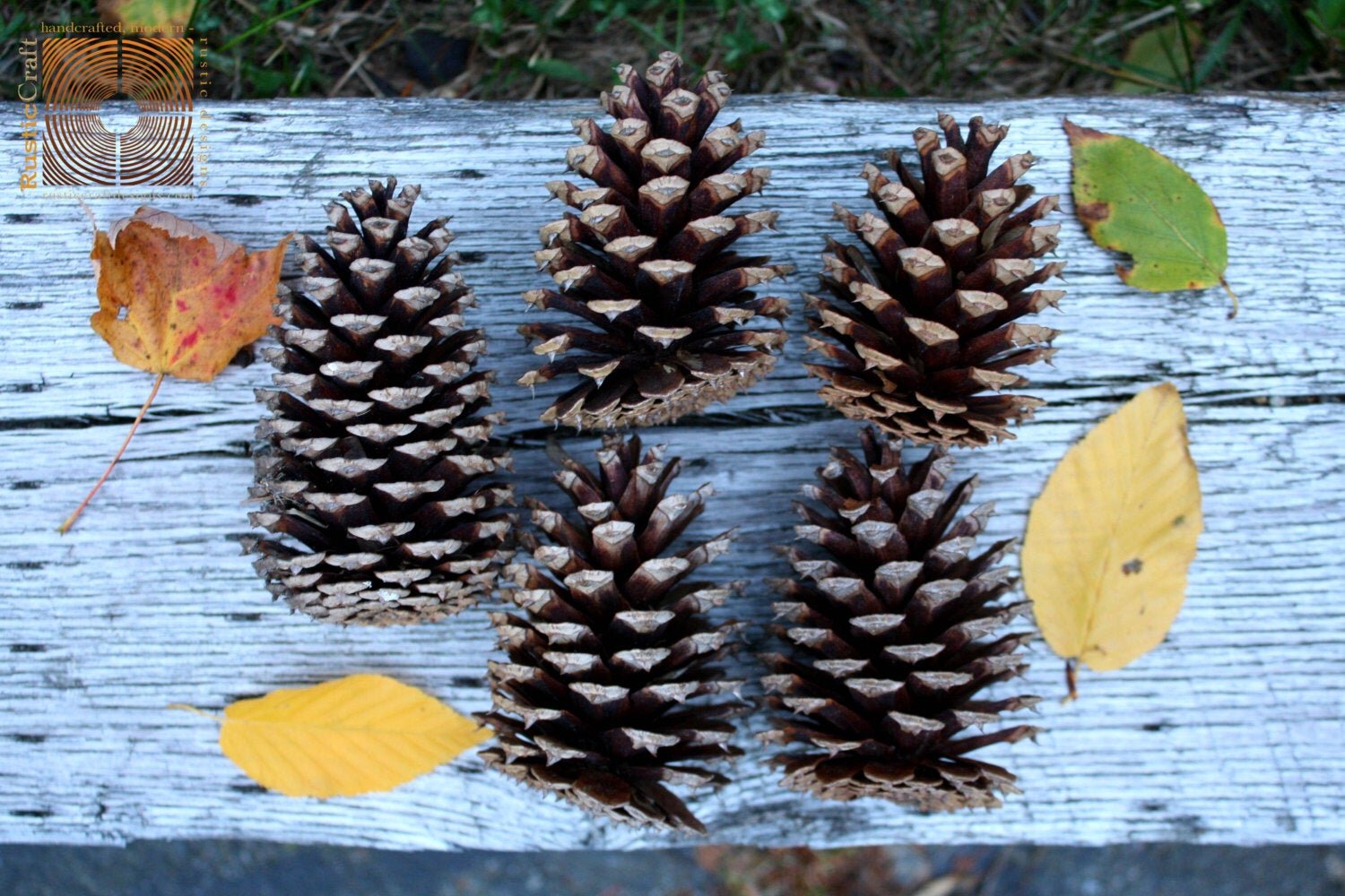 How To Use Pine Cones For A Unique Fall Mason Jar - Pillar Box Blue