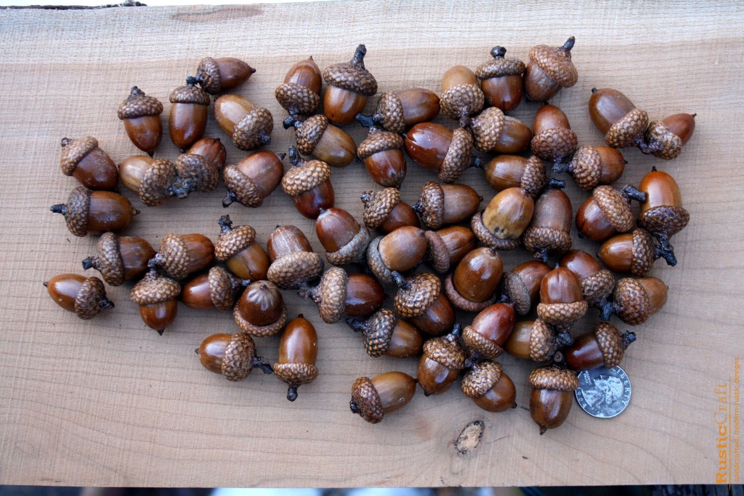 Bag of Acorns Natural Look Resin Country Primitive Fall Décor