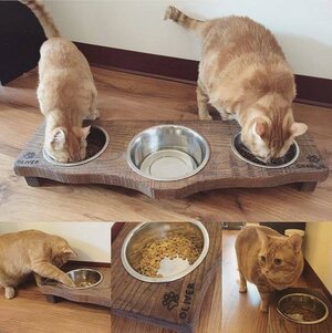 Elevated Dog Bowls & Cat Dishes - Custom Pet Feeder