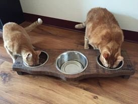 Elevated Wood Cat Feeder - Small Dog Feeder- with Stainless Steel Bowls  Included - Made to Order — Rusticcraft Designs