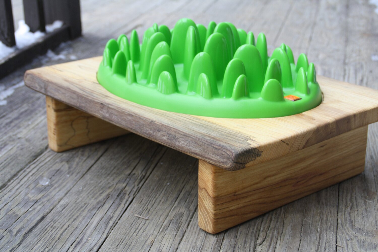 Green Mini Interactive Dog Feeder - Ready to Ship- Thick Poplar