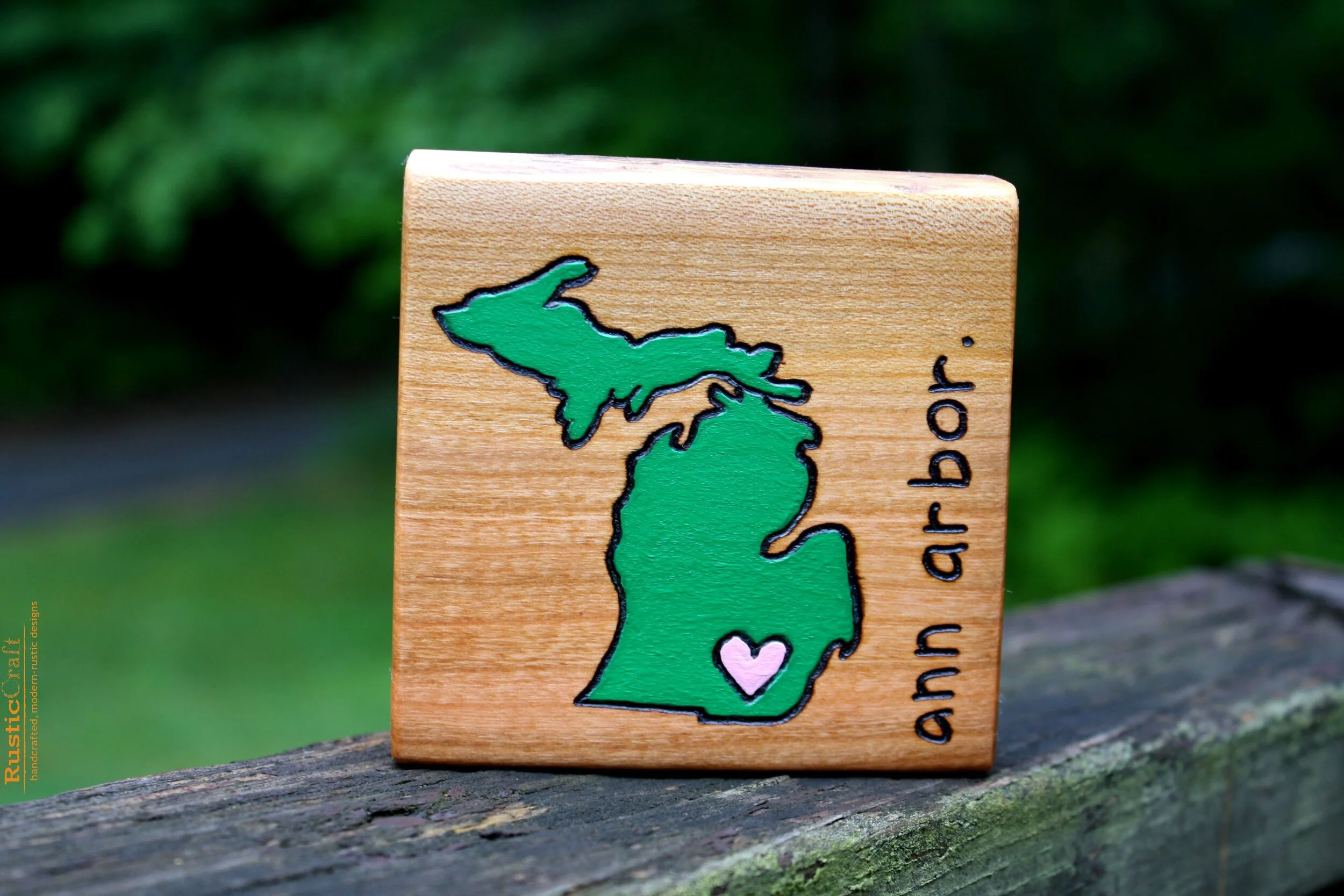 IMG_9180-2 Michigan.jpg