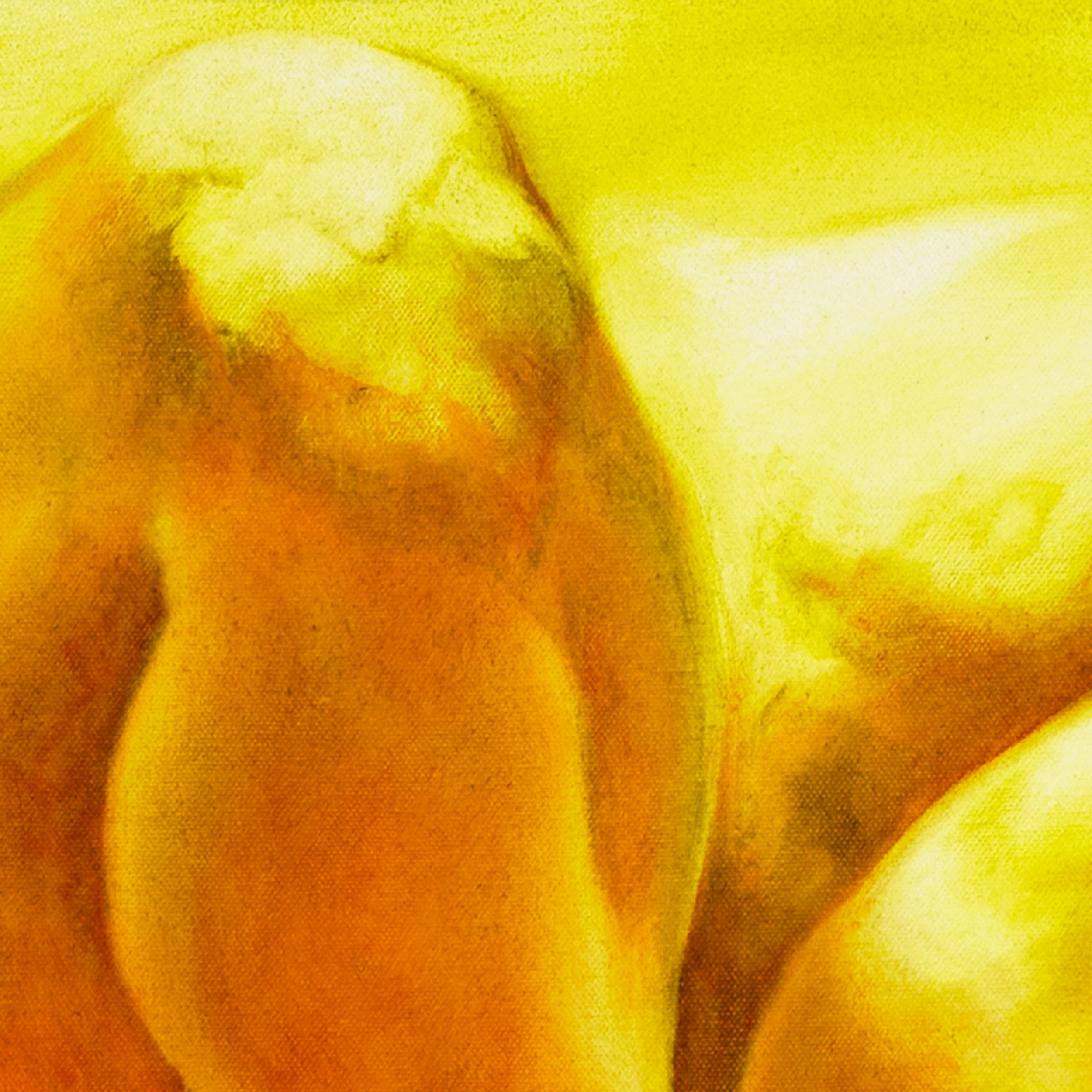 Frog | Carly Bodnar