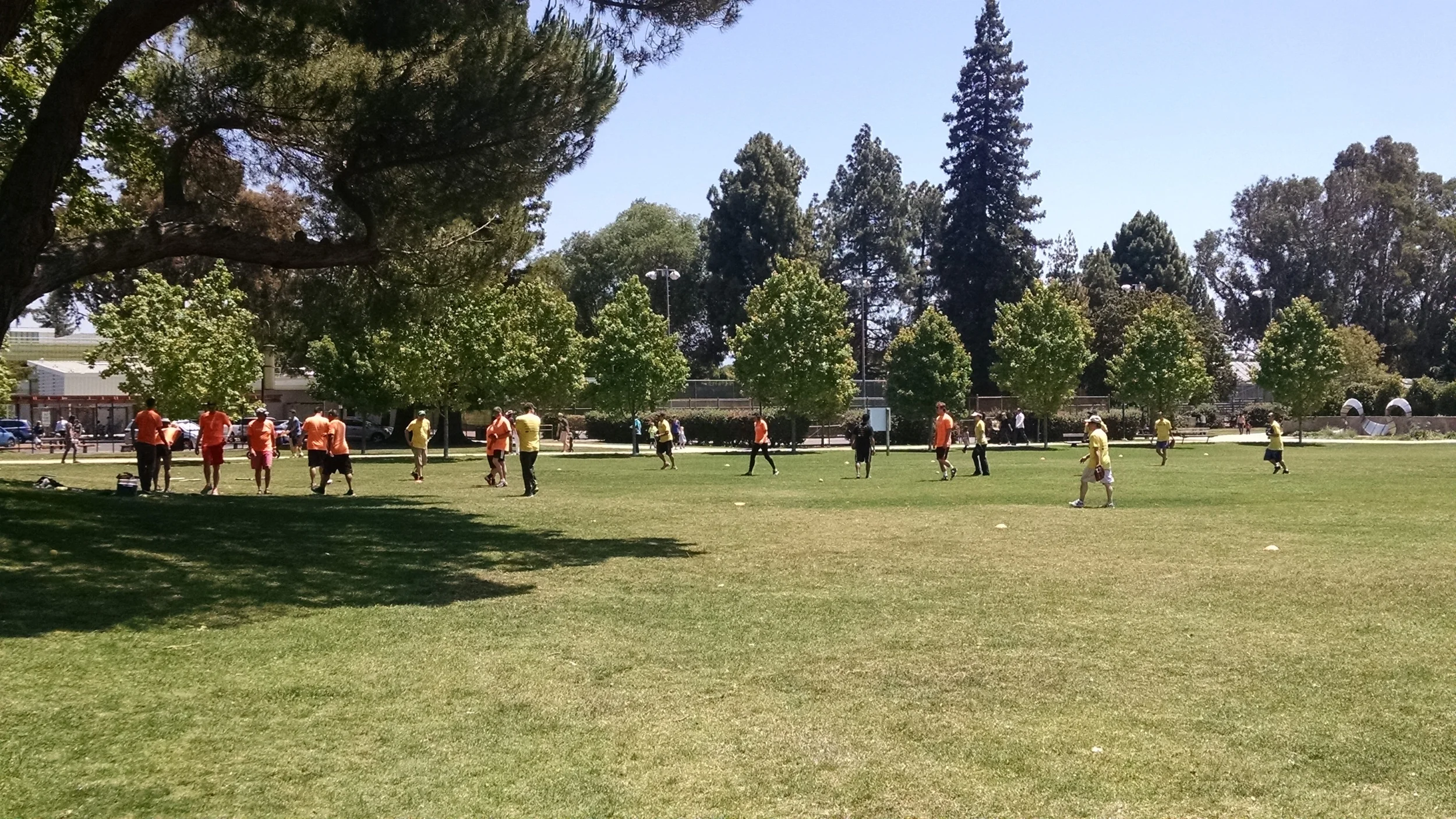 2015-05-24 12.28.50.jpg