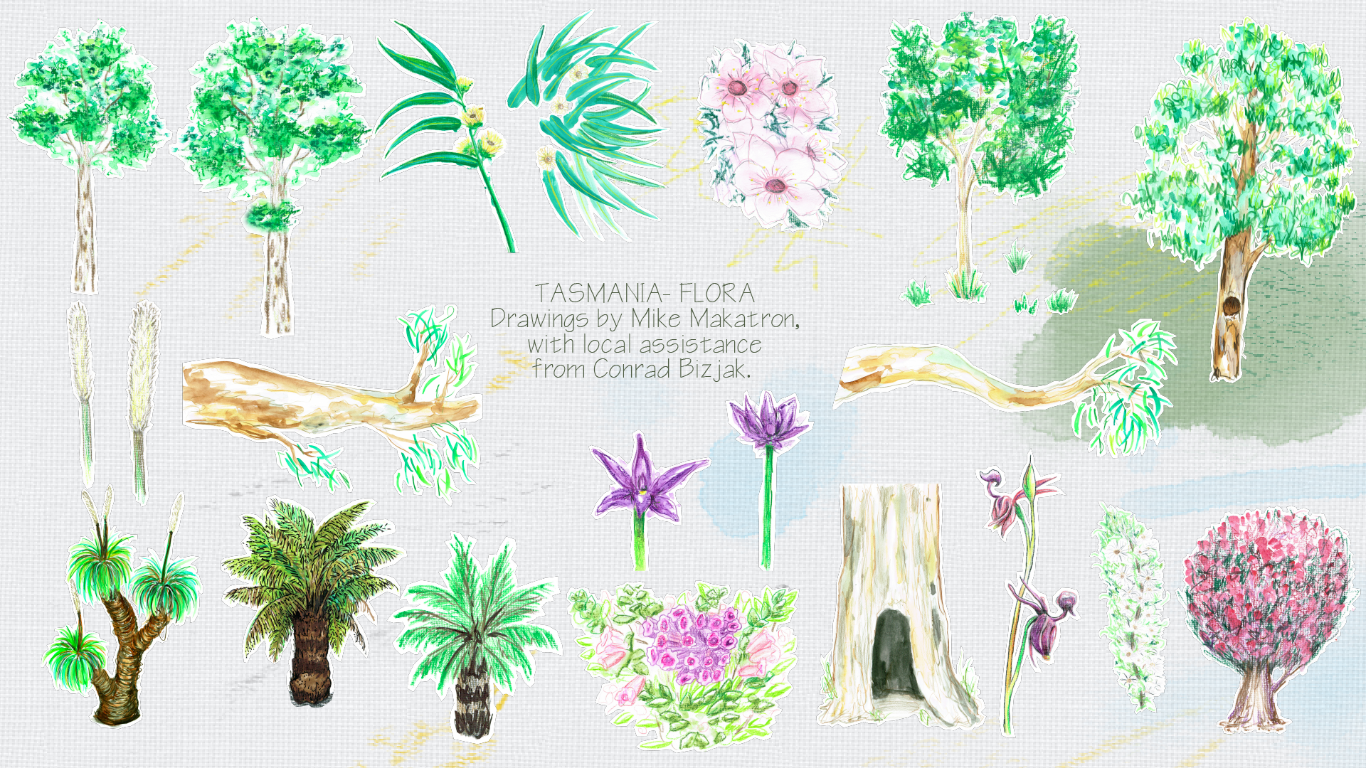 TASFlora.png