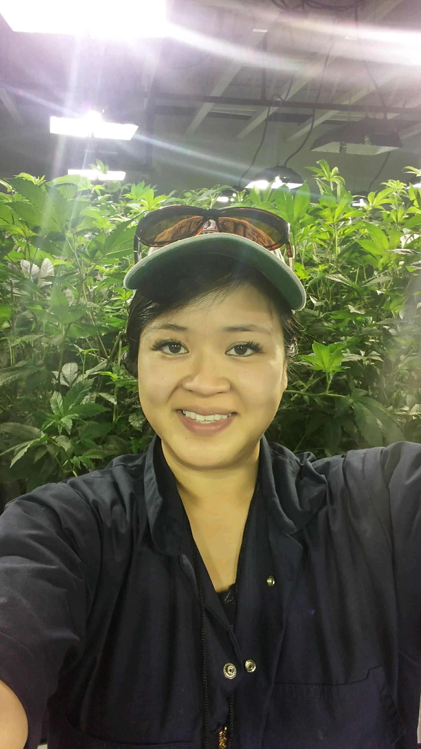 3 in grow.jpg