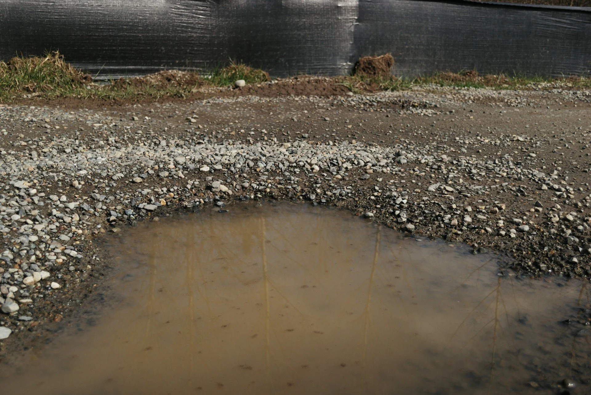 When Water Pools In Your Yard: French Drain Solutions