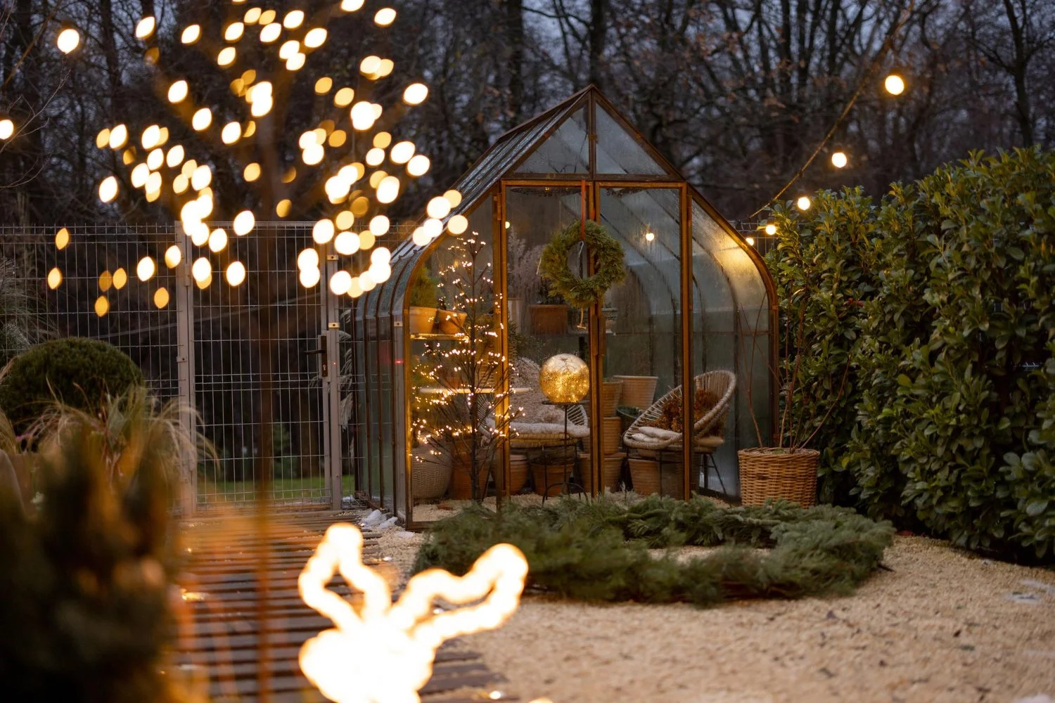Backyard Landscaping in AZ That Brings Holiday Magic Outdoors