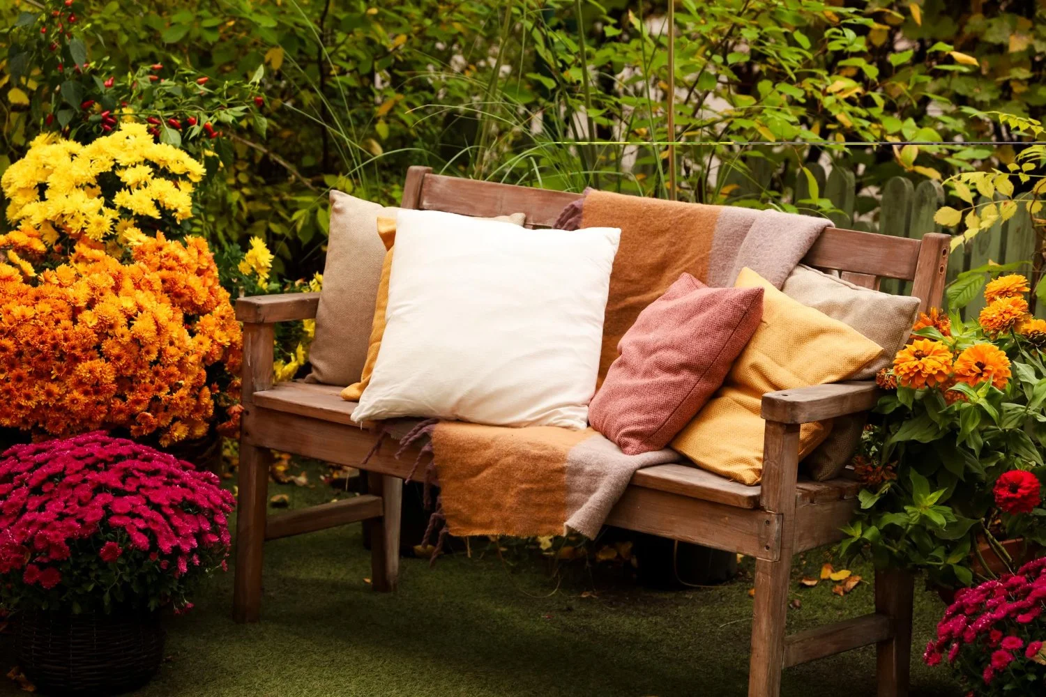 Backyard Design in Arizona for Golden Fall Afternoons