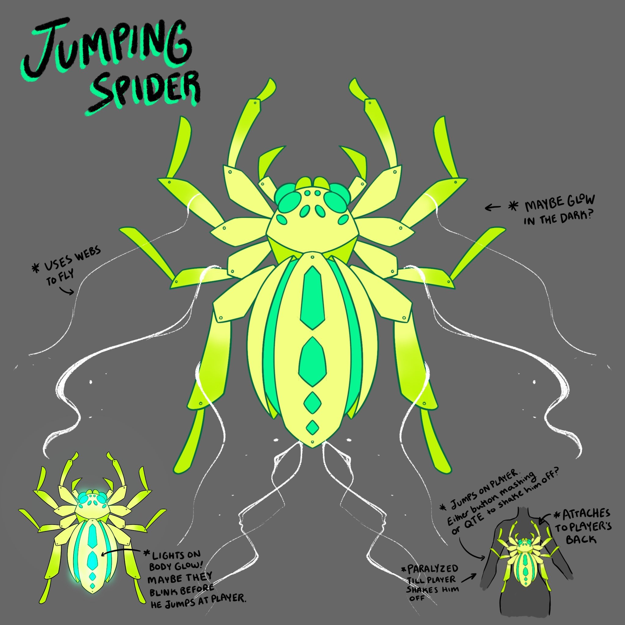 Jumping_Spider.jpg