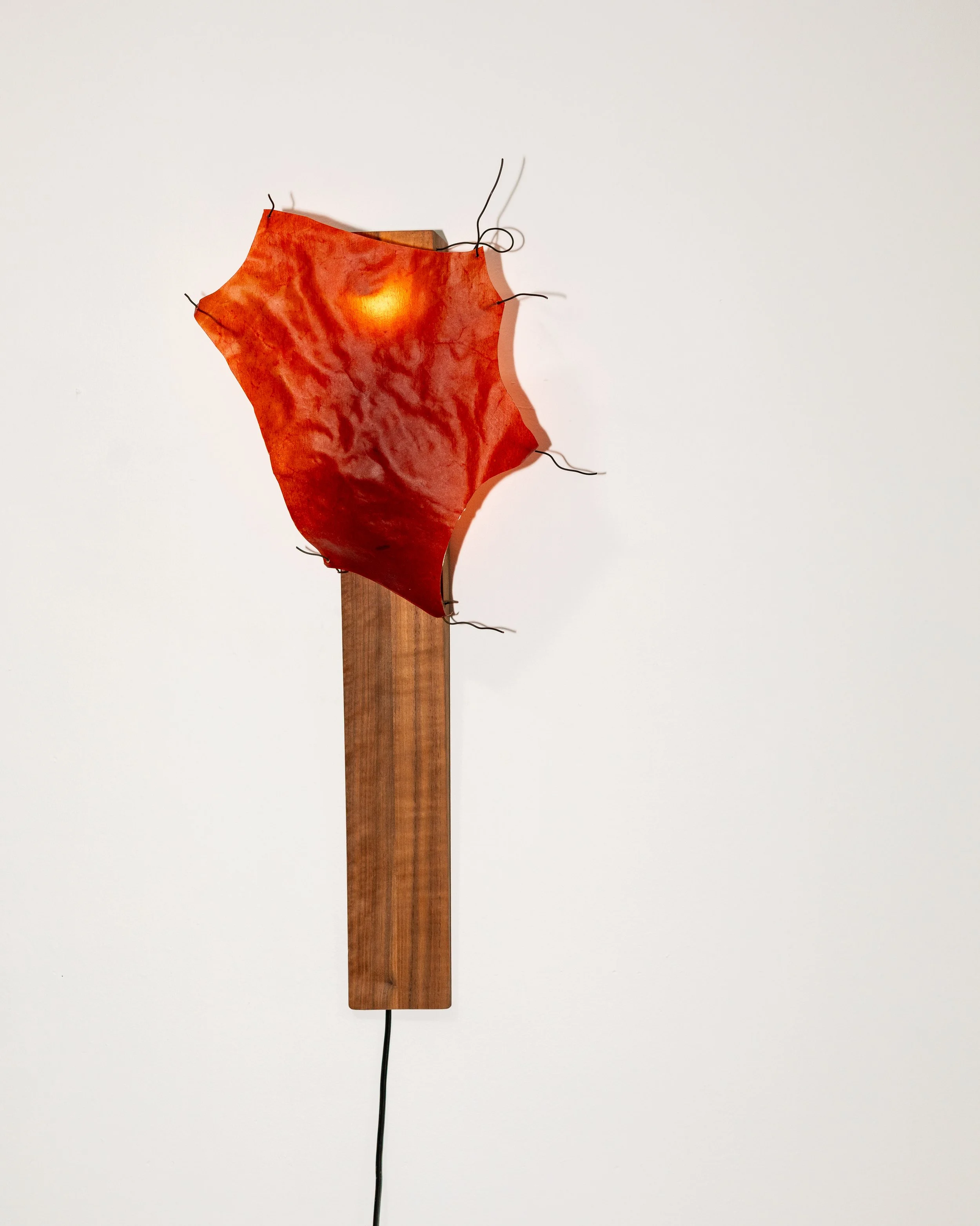 Tex Collective_Privy Gallery_2025-2.jpg