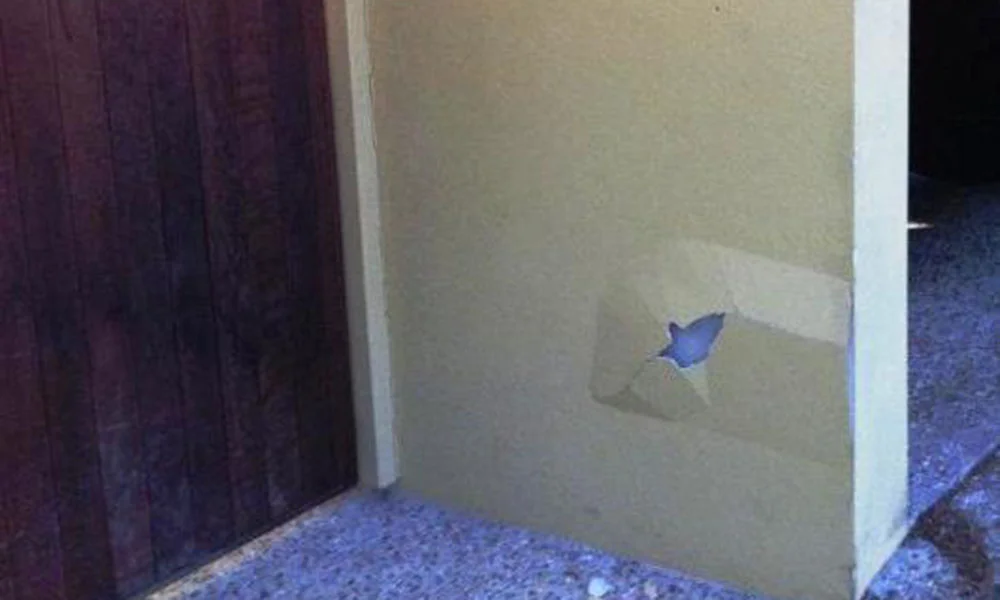 Repairs Right Coat Render Blown_Render_BEFORE.JPG