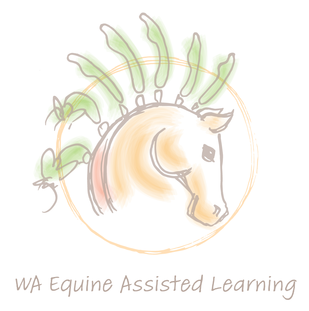 WA Equine Assisted Learning