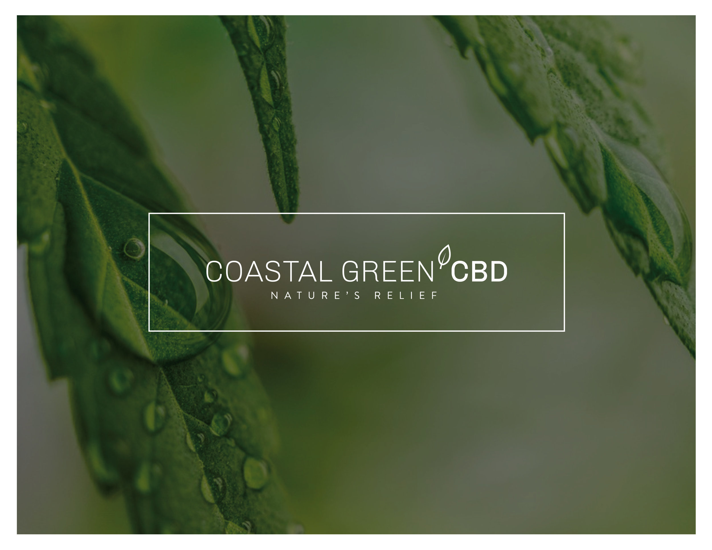 CoastalGreenCBD_BrandGuidelines-01.jpg