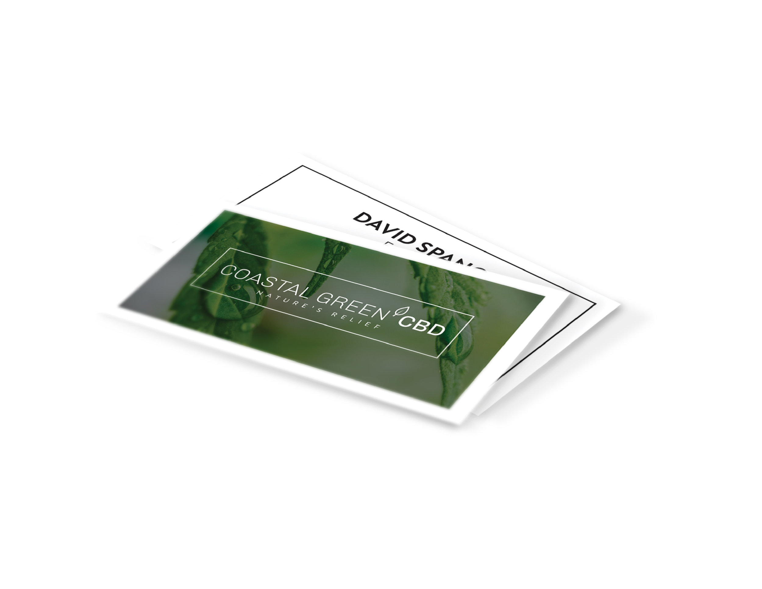 CoastalGreenCBD_BrandGuidelines-03.jpg