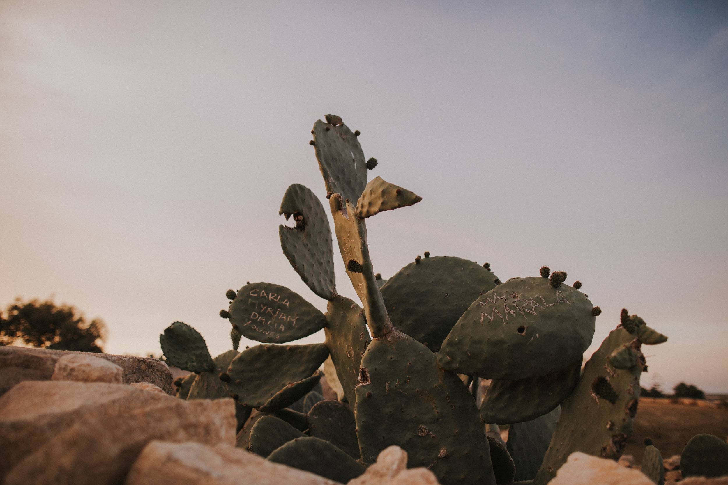 BROOK ROSE PHOTOGRAPHY 2018_1.jpg