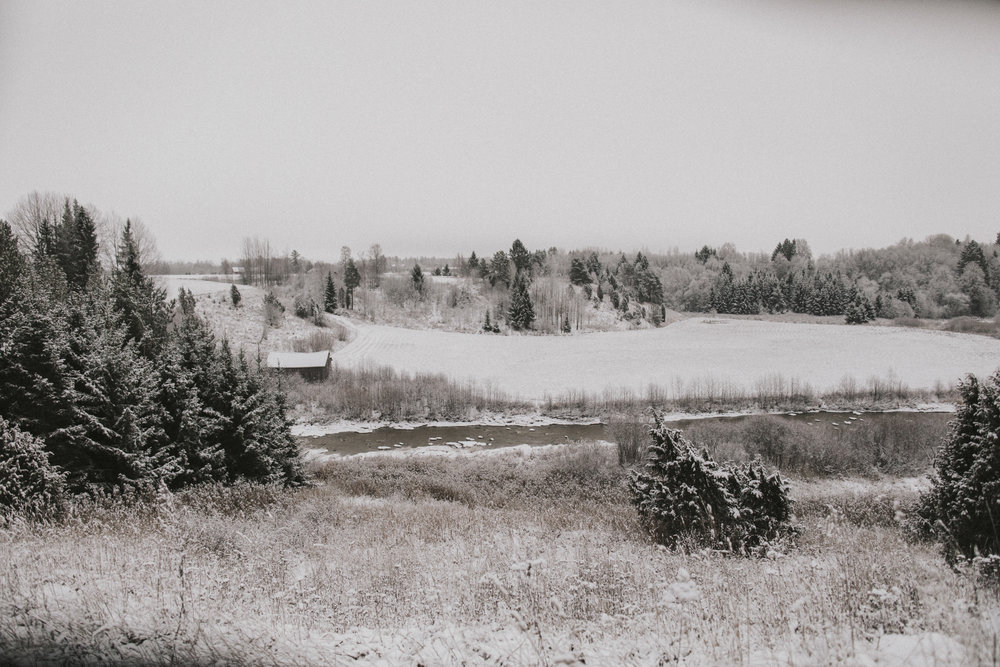 View of the river in the winter