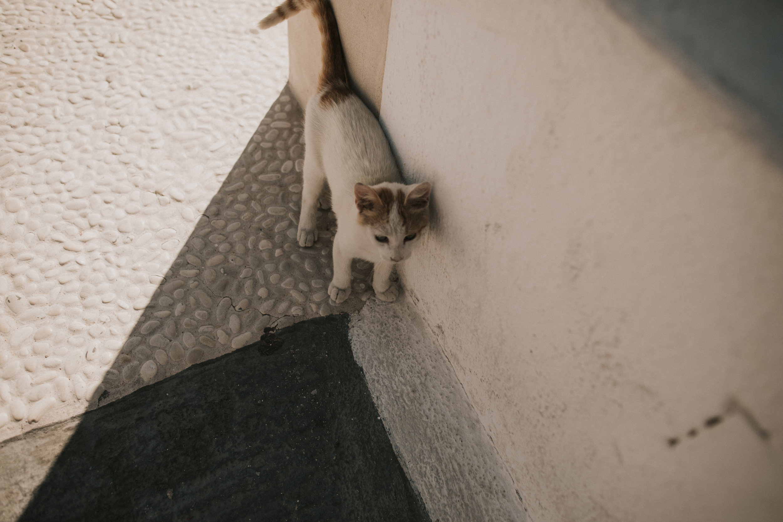 BROOK Rose PHOTOGRAPHY santorini photographer964.jpg