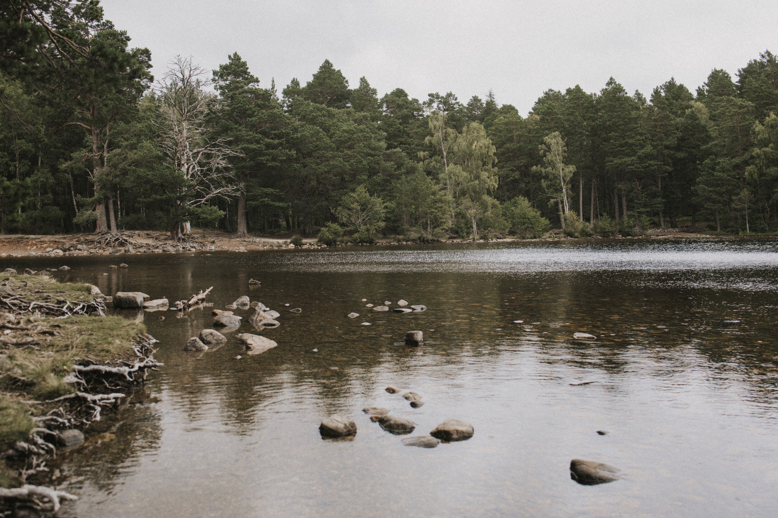 Magical Cairngorms-2020