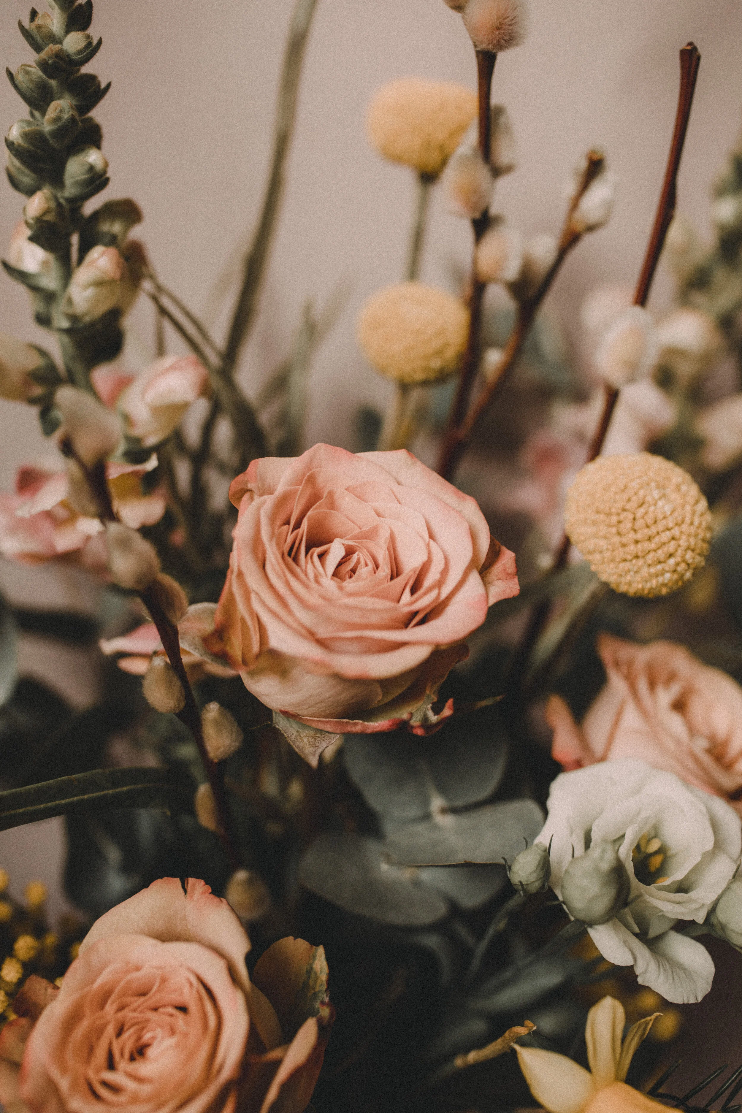 BROOK ROSE APPLEBY00007.JPG