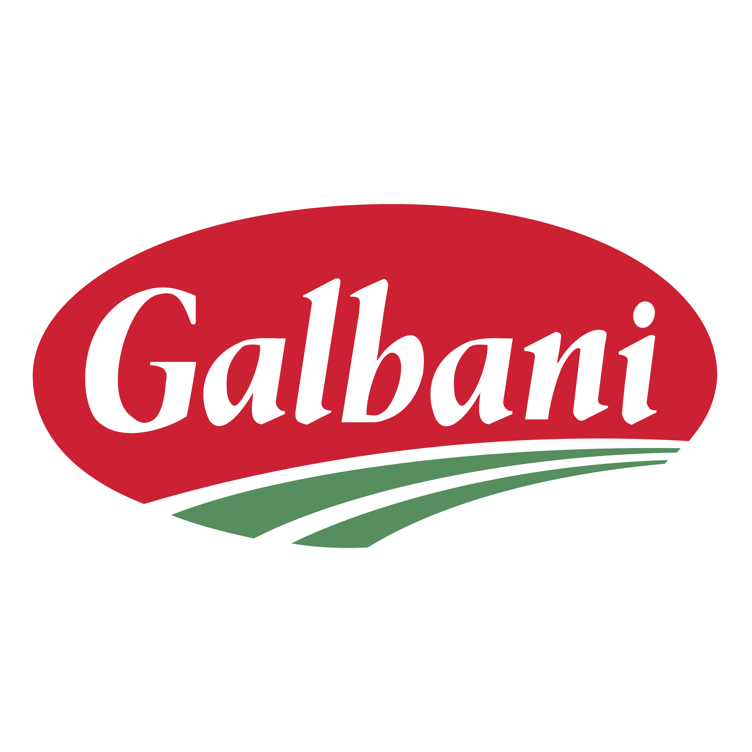 Galbani_logo.png