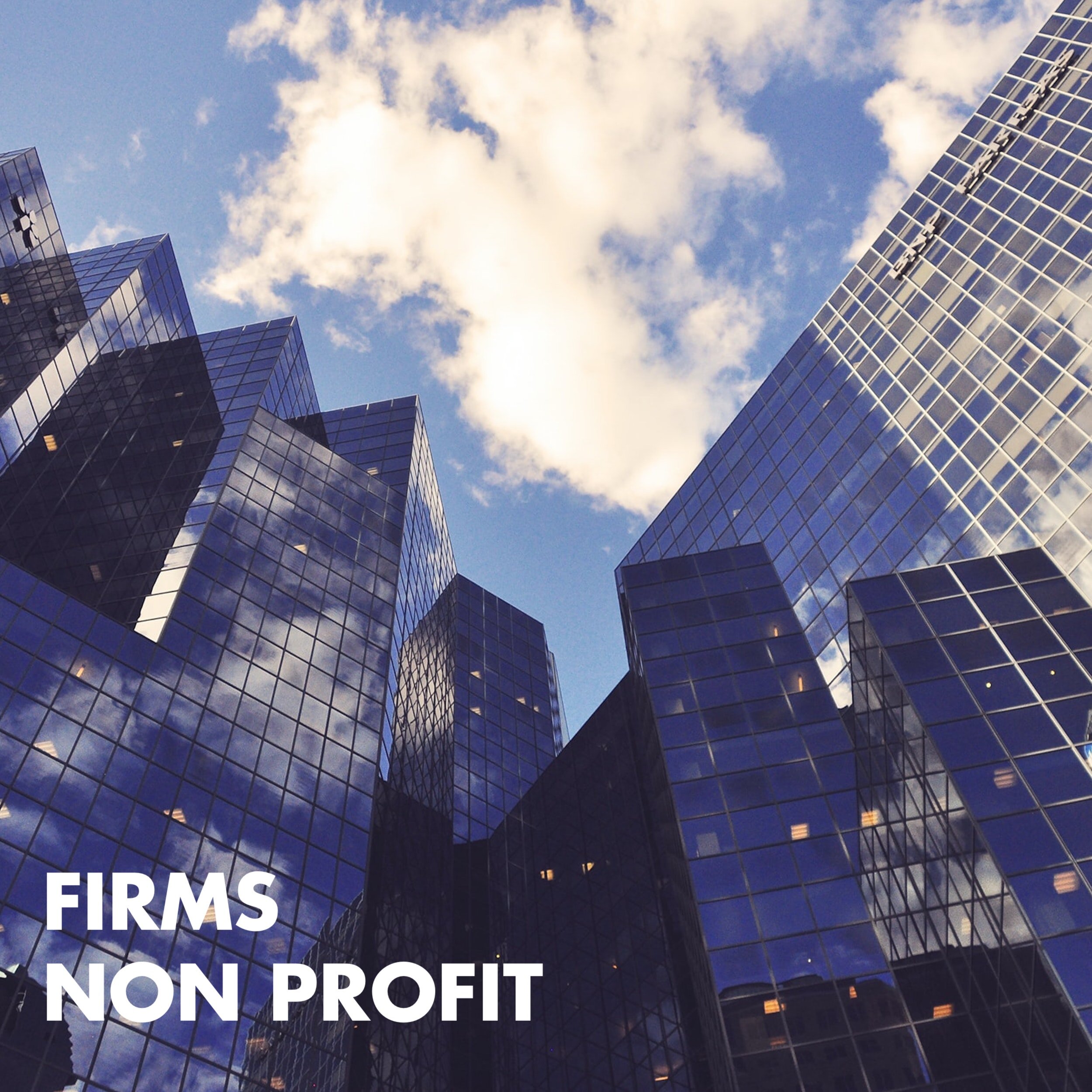 firms non profit .jpg