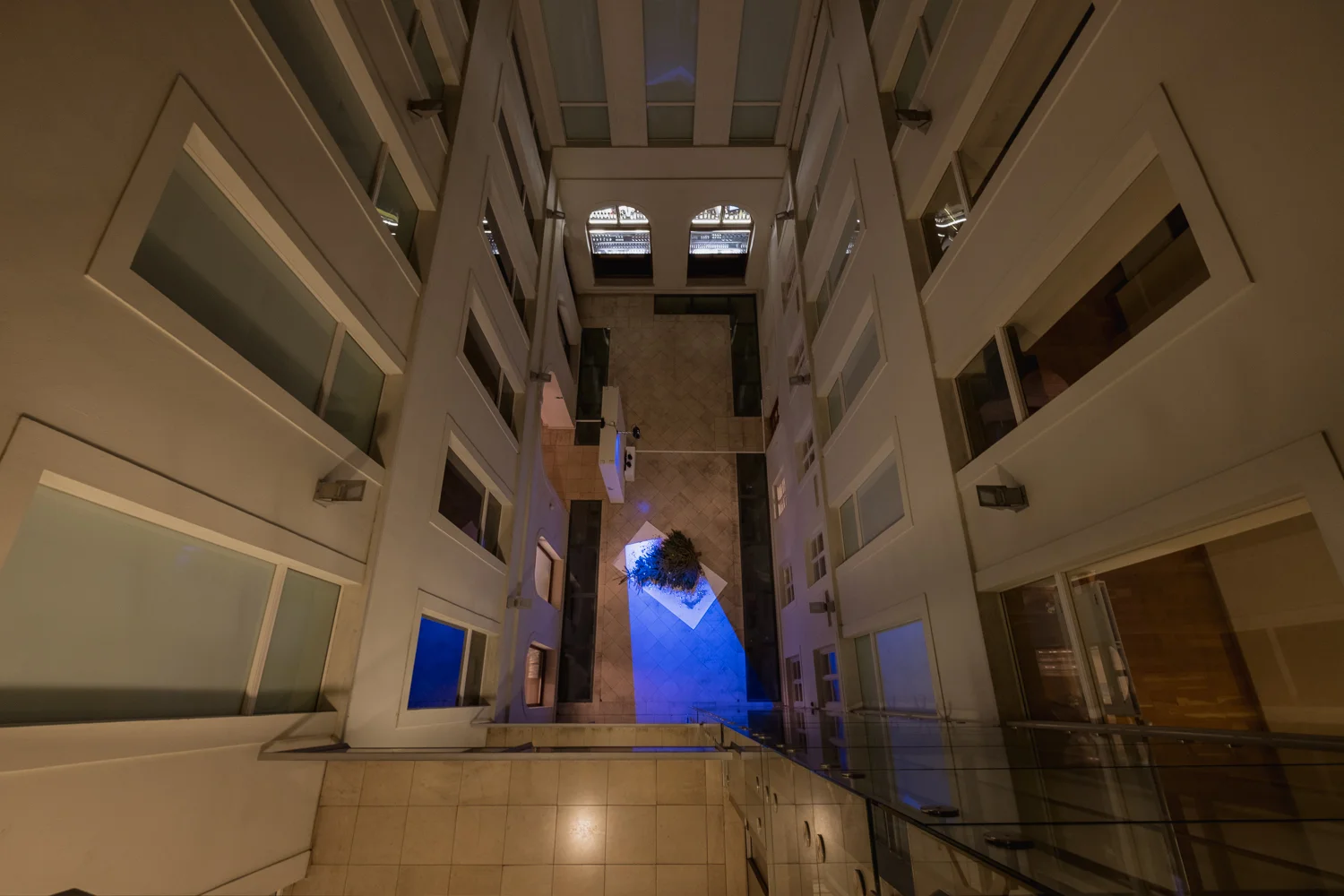 _DSF0221.jpg