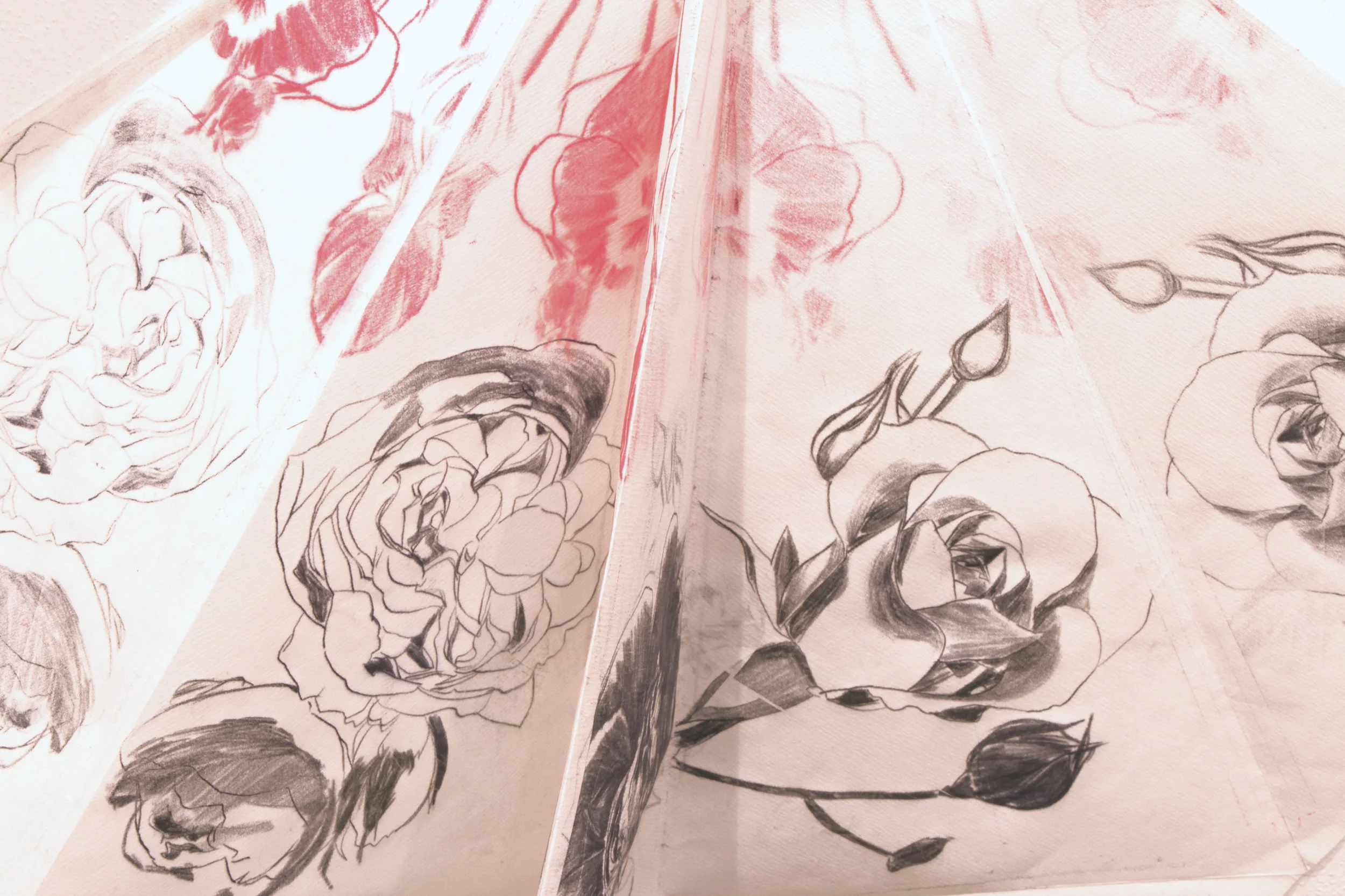 10,2014, carbon on paper. 86 X 61cm.JPG