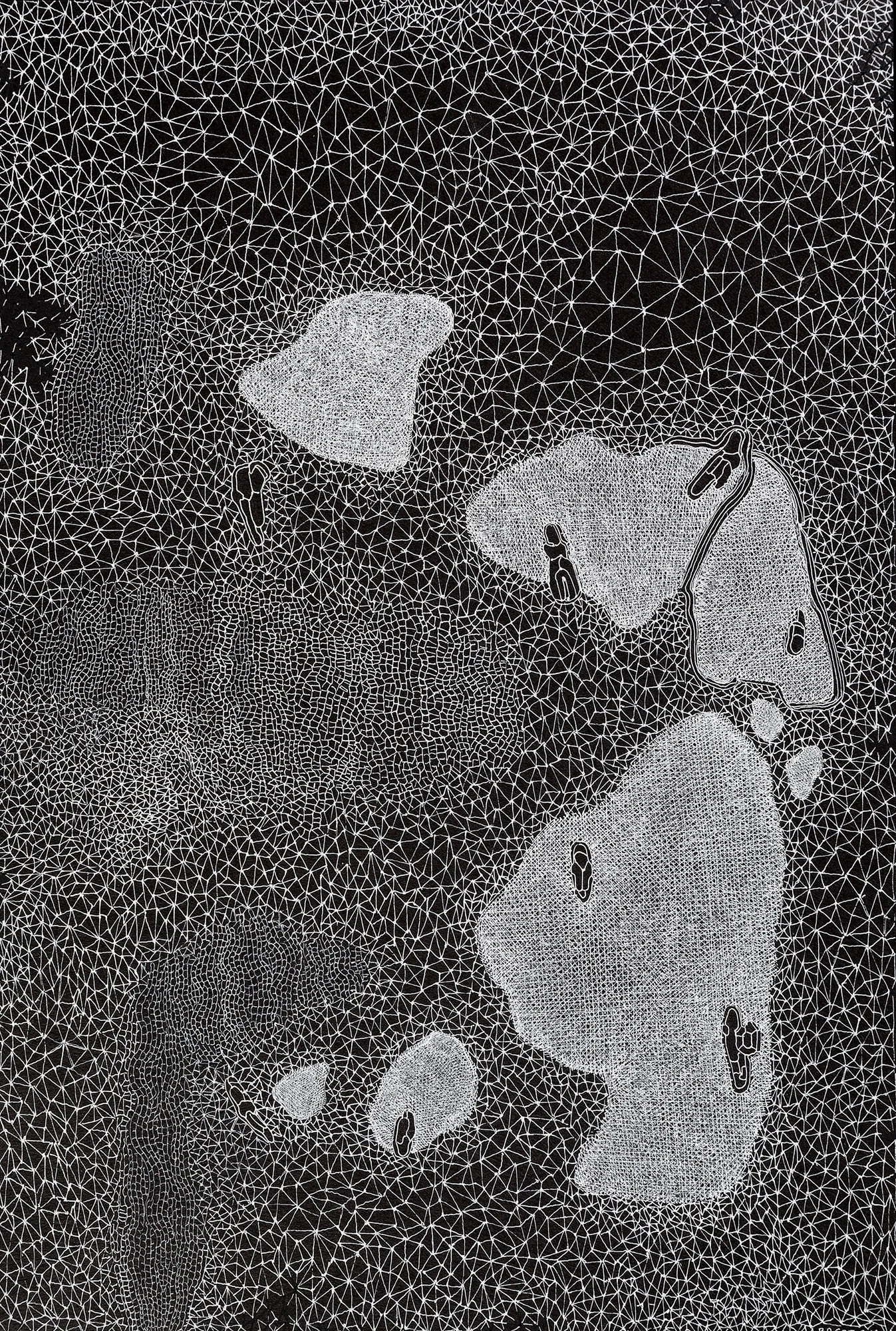 encre blanche 7