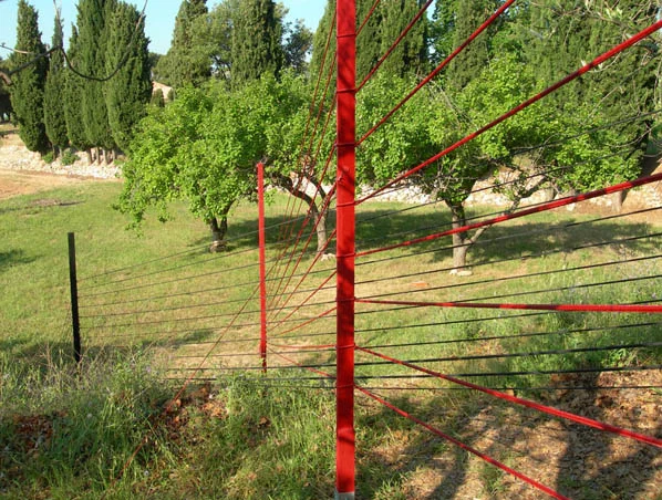 saint-ser (détail)