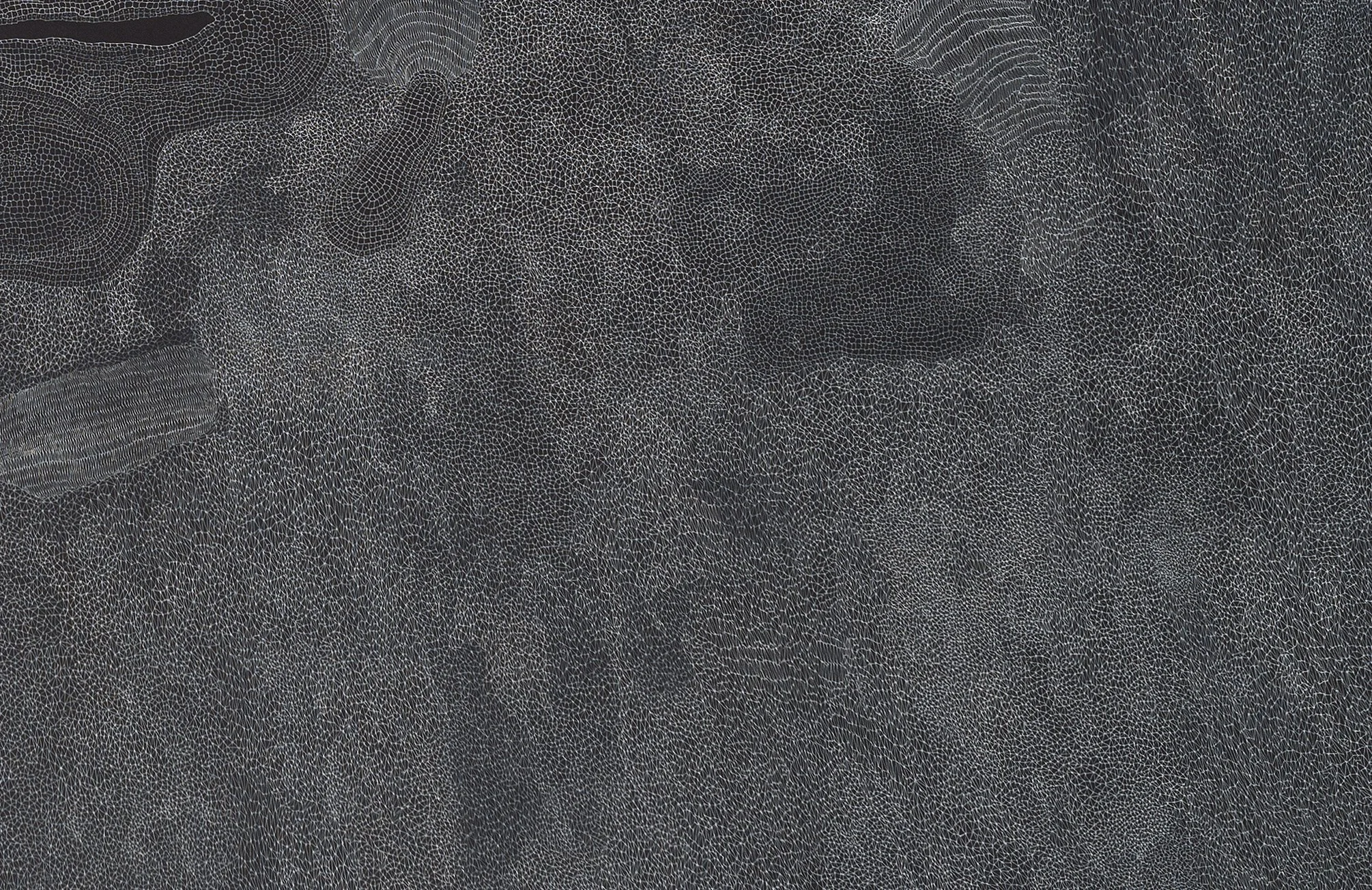 Plasmnuim , détail