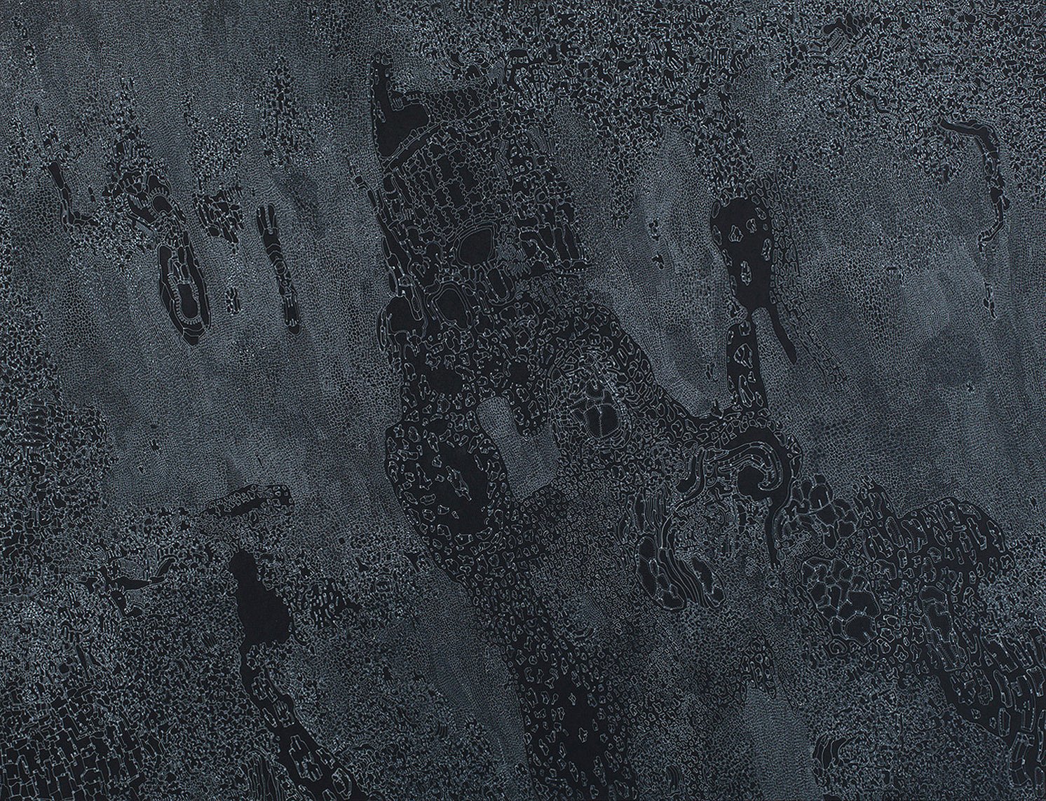 Seaxze, encre blanche sur papier noir, 31.5 x 44 cm, 2013