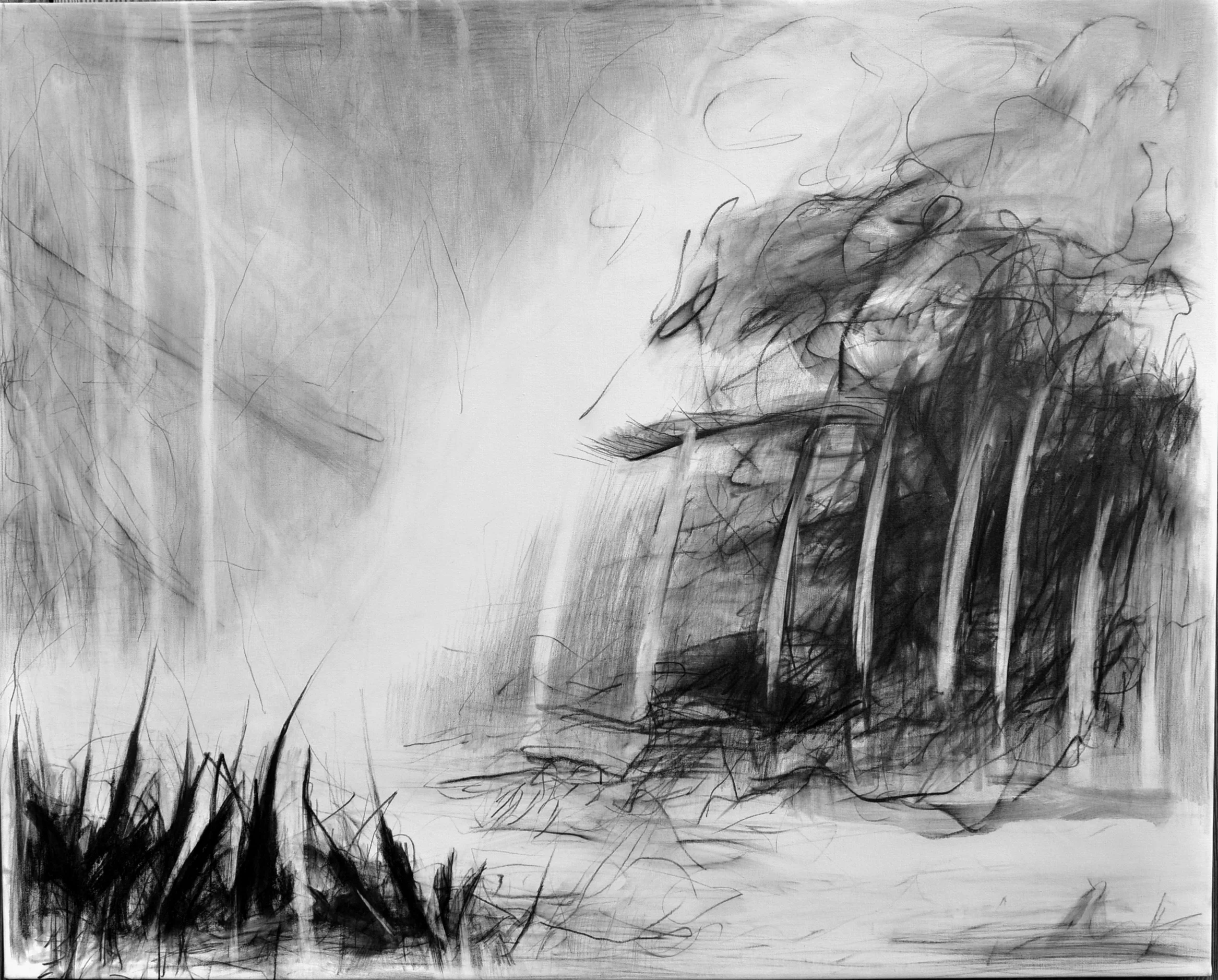 Blyant på lærred 80 x 100 cm