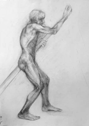 60 x 40 cm pencil on paper