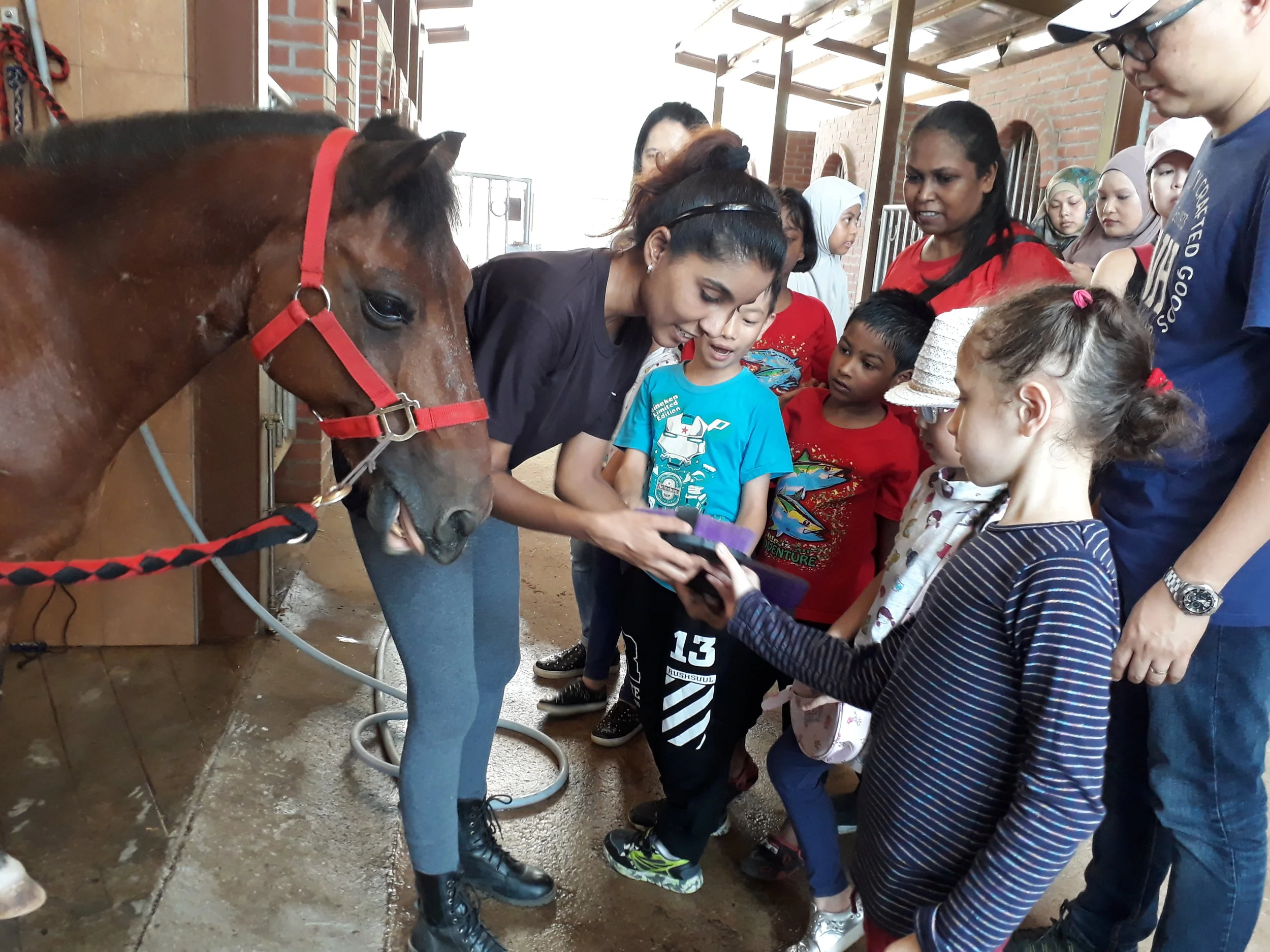 Healing Horses, a pilot initiative to launch the ASD Parents Support Group