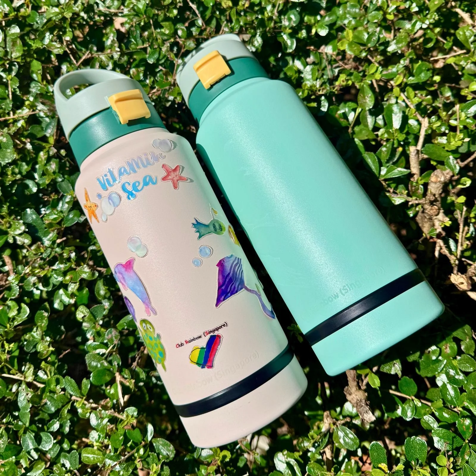 'Sea of Hope' Vacuum Insulated Bottle with Storage Compartment