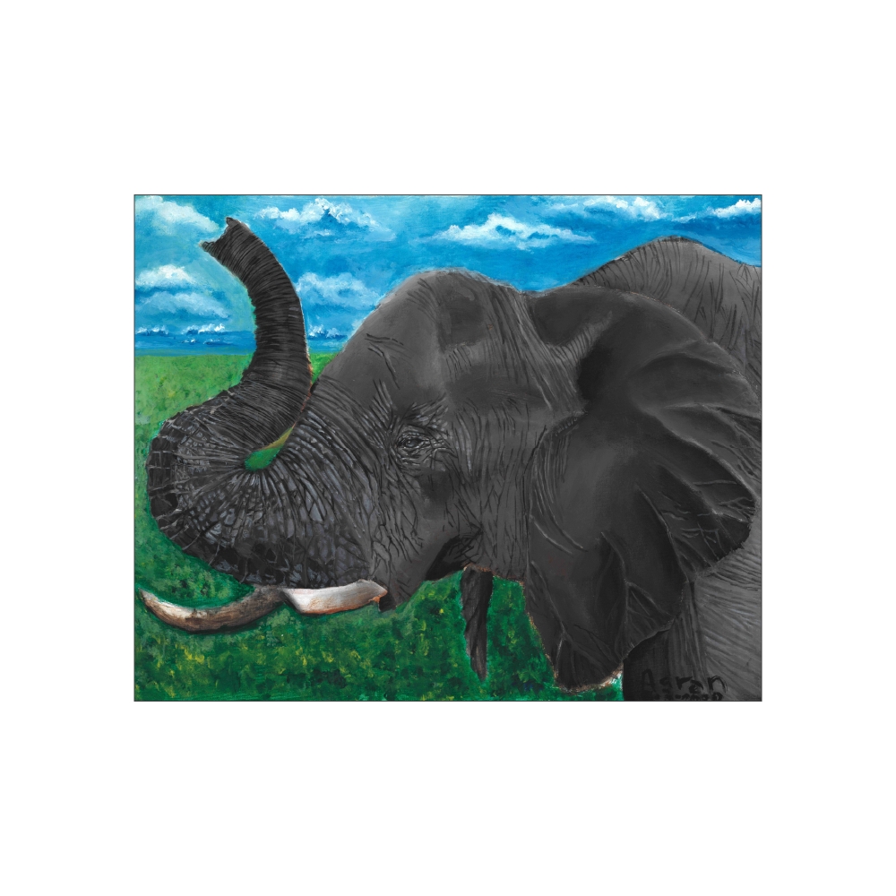 Club Rainbow_Aaron Tan-Elephant.png