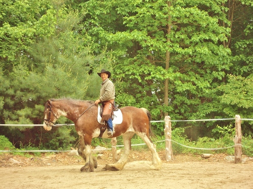 chris dressage clydestale (500x374).jpg